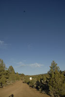 Dome from road looking East